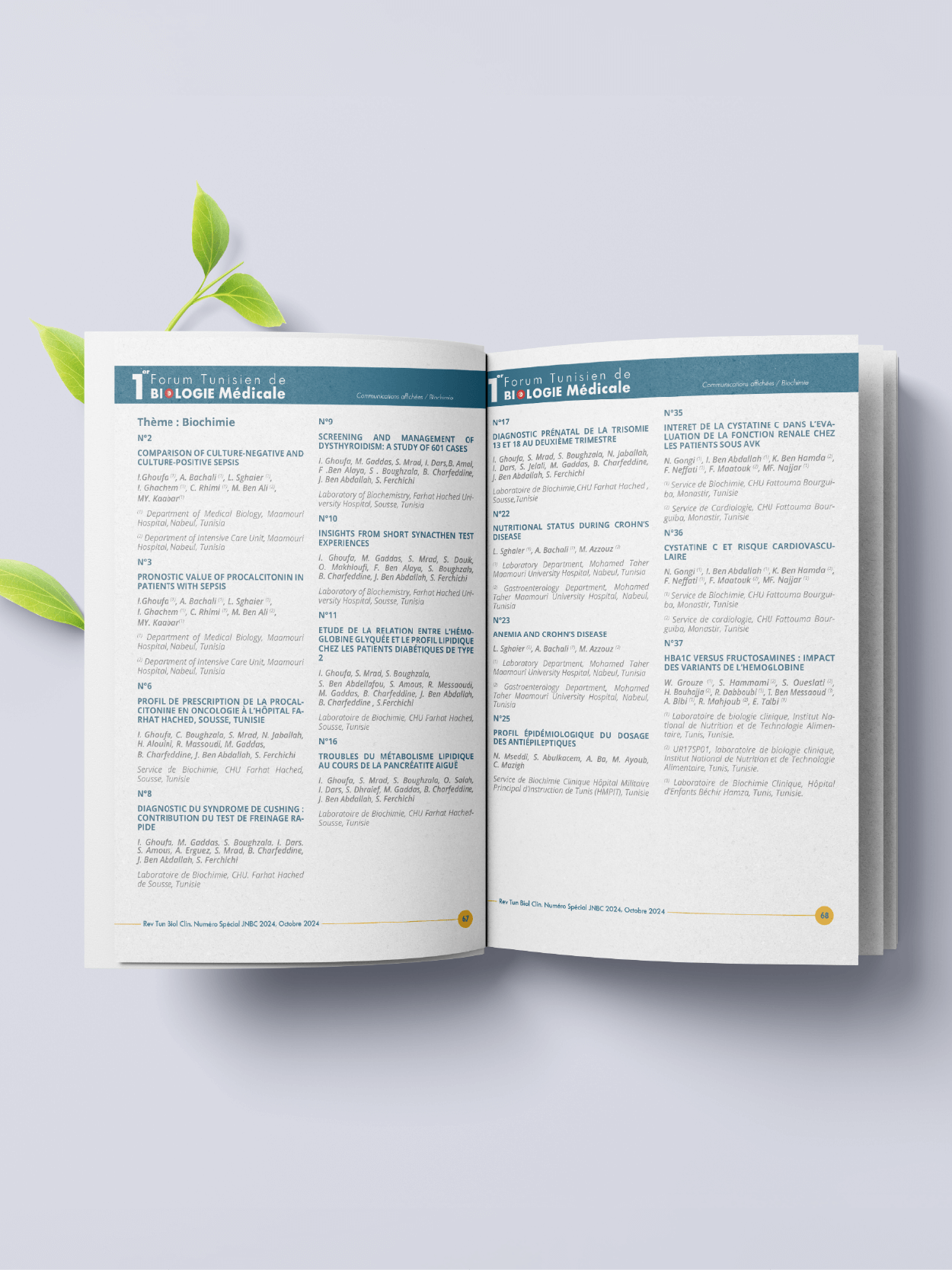 Livre des abstracts généré par AbstractFlow